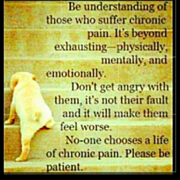 🌲 FLEECE JACKET REVERSIBLE MINNESOTA STATE PARK UNISEX SZ XL - Picture 10 of 16